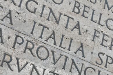 Quando gli alberi del vicino oscurano la tua vista: i tuoi diritti