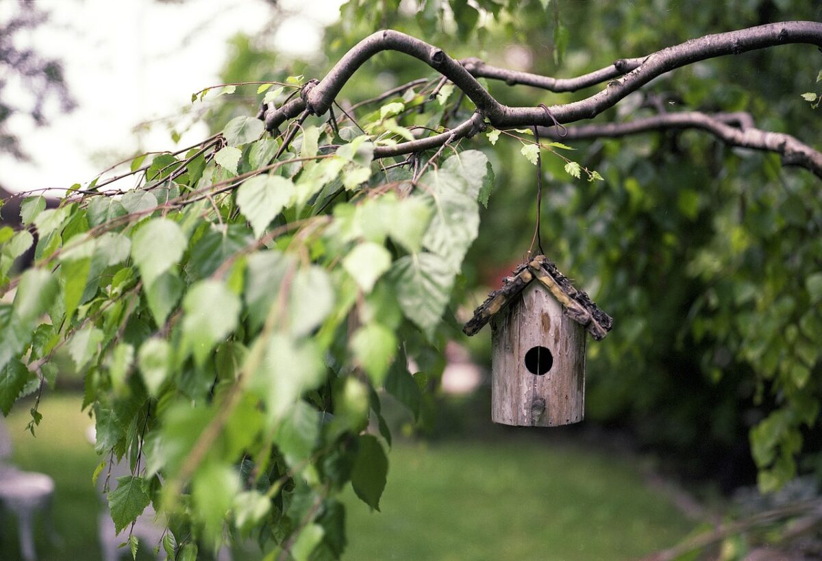 Nudità in giardino: cosa dice la legge italiana?