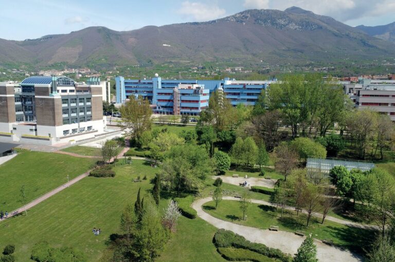 Crisi, leadership e possibilità nell’Università che cambia