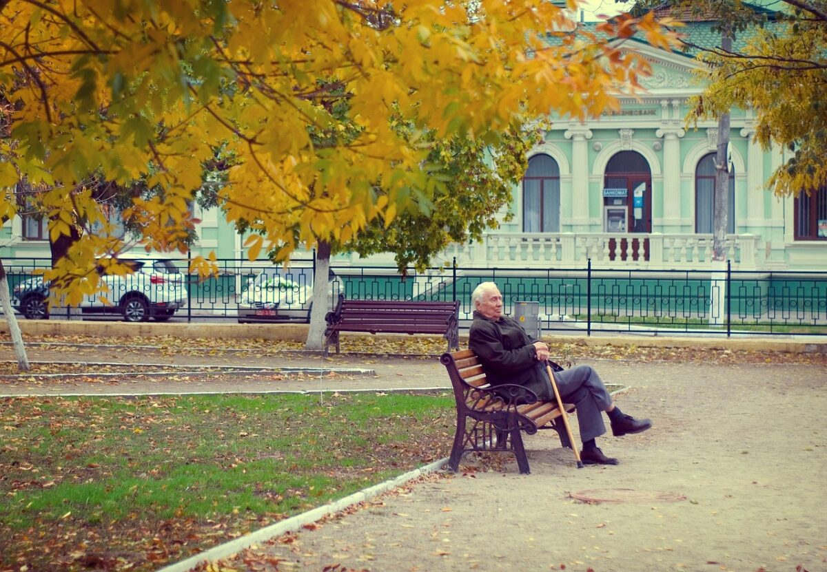pensioner, old man, autumn, bench, pensioner, pensioner, pensioner, pensioner, pensioner, old man, old man, old man, old man
