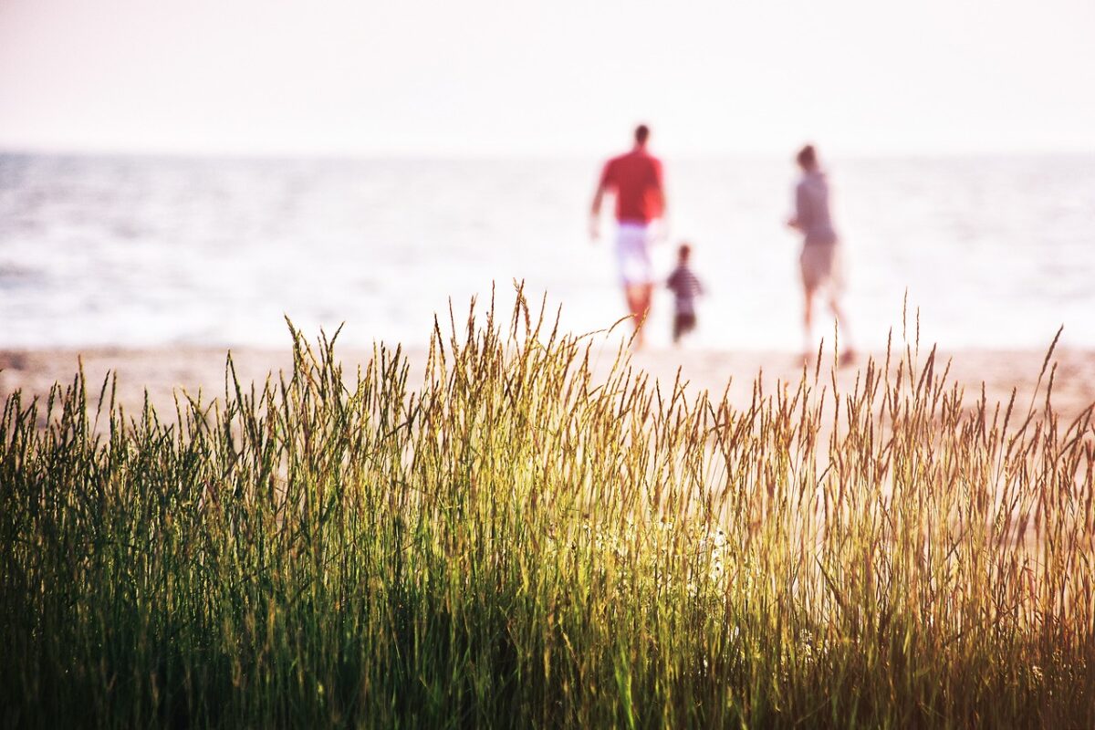 family, beach, vacation, grass, sea, nature, coast, landscape, reeds, summer, atlantic sea, family, family, family, family, family
